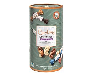 Guylian Temptations Mix Tube 316G